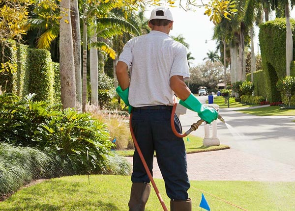 About Warner Springs CA Pest Control Pros